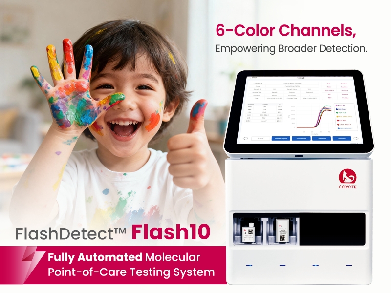 11、Flash10.jpg